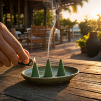 Lemongrass Citronella Incense Cones – Aromatherapy for Home 25pcs
