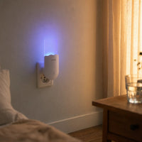 Adhesive Board Mosquito Trap Lamp (10pcs)