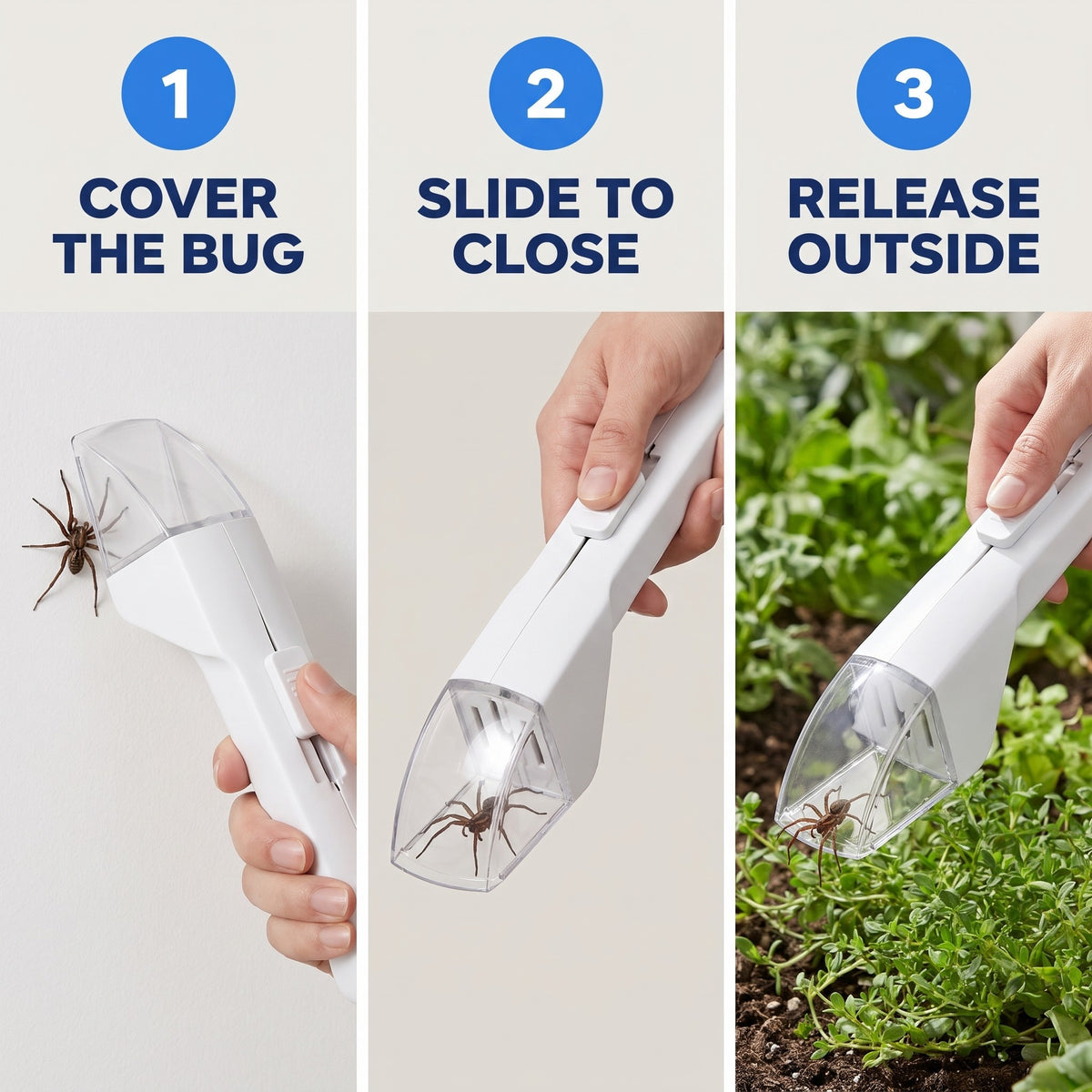 Handheld Spider and Insect Catcher